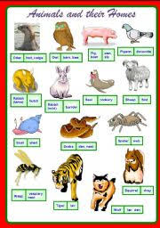Animals And Their Homes Part 2 2 Fully Editable Esl