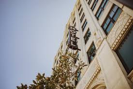 a pet friendly getaway to ace hotel new