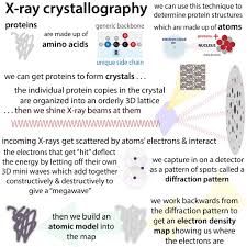 x ray crystallography helps us pretty