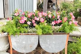 15 Trough Planter Ideas Bustling Nest