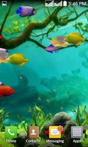 fishes live wallpaper 2020 aquarium
