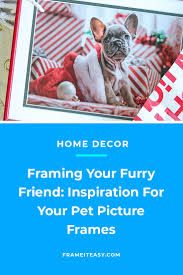inspo for your pet picture frames