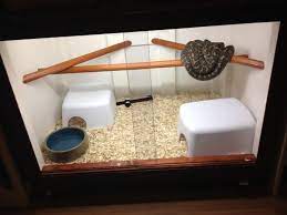 carpet python enclosure build duw