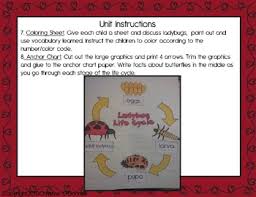 Ladybug Life Cycle Teacher Book Minibook Craftivity Anchor Chart