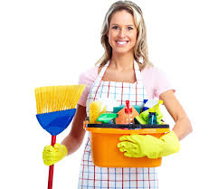 cleaning services in bolingbrook my