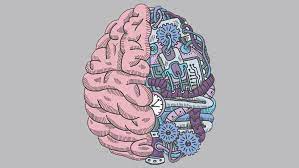 https://www.npr.org/2024/01/26/1198908458/ted-radio-hour-brain-hacks-neurotechnology gambar png