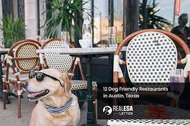 150 dog friendly restaurants in austin