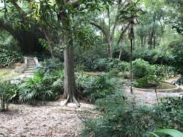 Built on a salt dome, it's a mysteriously beautiful place where the red peppers grow, the factory hums, and abundant wildlife can be seen in jungle gardens. Southern Live Oak Jungle Gardens Avery Island Louisiana Picture Of Jungle Gardens Avery Island Tripadvisor