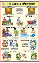 Hepatitis For Prevent Diseases Chart