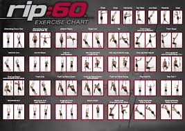 proform rip 60 workout program proform