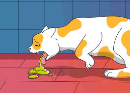 cat vomiting explained common causes