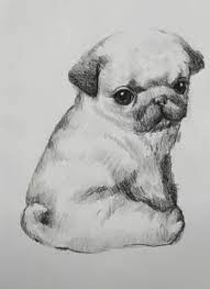 Check spelling or type a new query. Cute Puppy Puppy Sketch Cat Sketch Animal Drawings Sketches