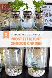 3 mason jar aquaponics kit build your