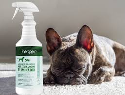 11 best enzyme cleaners for dog urine