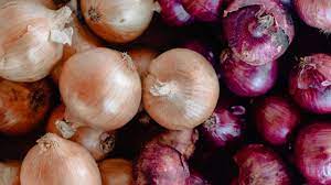 Big onion recall hits US and Canada as ...