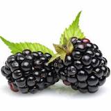 Is blackberry sweet or sour?