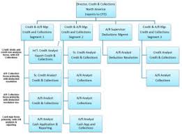 19 Experienced Pfizer Organizational Structure Chart