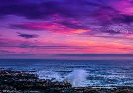 Pink Ocean Sunset HD Wallpaper ...