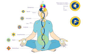 kriya yoga explained the yoga of action
