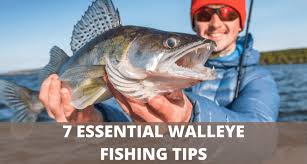 7 essential walleye fishing tips that