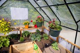 8 X8 Vegetable Garden With Greenhouse