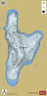 Harvey Lake Fishing Map