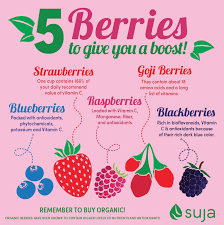 nutritional value of berries 5