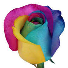 Maybe you would like to learn more about one of these? Neon Tie Dye Rainbow Roses Fiftyflowers