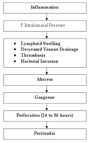 Pathophysiology Of Appendicitis Nursing Crib