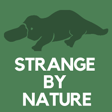 Strange by Nature Podcast