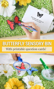 Butterflies use their senses of sight, touch, hearing, smell, and taste to survive in the world, find food and mates, lay eggs in an appropriate place caterpillars can sense touch, taste, smell, sound, and light. Butterfly Sensory Activity For Preschoolers Shrimp Salad Circus