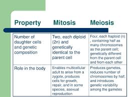 ppt topic 4 genes chromosomes