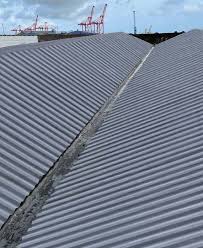 Asbestos Roof Encapsulation For