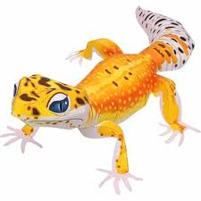We did not find results for: Leopard Gecko 3d Paper Model Parent Child Diy Cartoon Animal Kindergarten Handmade Origami Children S Puzzle Craft Toys Aliexpress