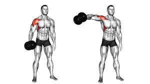 dumbbell shoulder fly muscles worked
