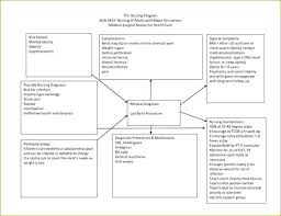 Nursing Concept Mapping Template Lovely Free Map Templates Agenda