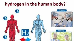 function of hydrogen in the human body