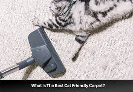 the best carpets for pets