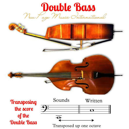 Introduction to the Traditional Mexican Double Bass Tololoche