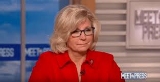 Born july 28, 1966) is an american attorney serving as the u.s. Liz Cheney We Are Not Delaying The Election County 10