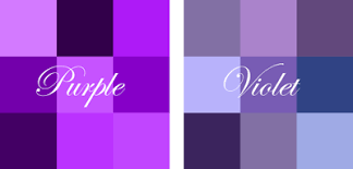 What color combination make the color red and violet? Difference Between Violet And Purple