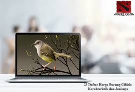 Download audio & vidio mengunakan situs. Vidio Suara Cici Padi Betina Suara Cici Merah Gacor Sudah Teruji Di Depan Juri Youtube Suara Burung Cici Padi Buat Pikat Sangat Istimewa Sudah Terbukti Ampuh Buat Pikat Burung Kecil