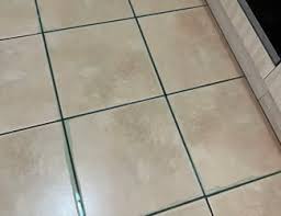 grout cleaning bunch