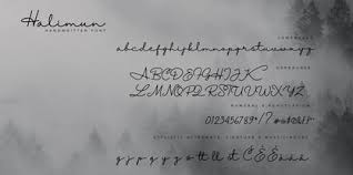 halimun script style font weont