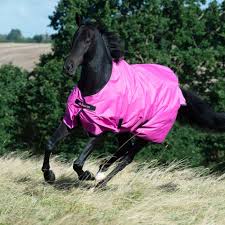 bucas freedom turnout light y pink