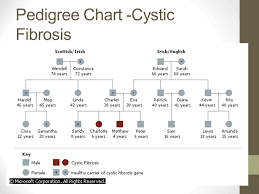 Pedigree Charts The Family Tree Of Genetics Learning