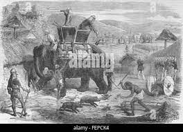 Santal Black and White Stock Photos & Images - Alamy