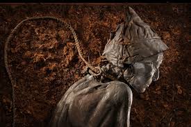 tollund man what we know about europe