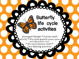 Butterfly Life Cycle Activities And Anchor Chart
