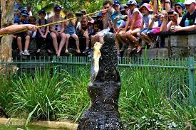 the australian reptile park ticket